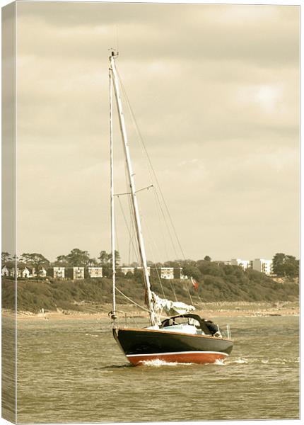 Yacht entering Christchurch harbour Canvas Print by Chris Day