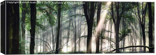 Deep forest morning light Canvas Print by Simon Bratt LRPS
