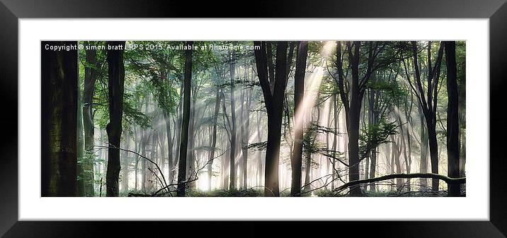 Deep forest morning light Framed Mounted Print by Simon Bratt LRPS