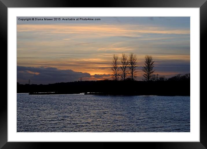  Abberton Reservoir Sunset Framed Mounted Print by Diana Mower