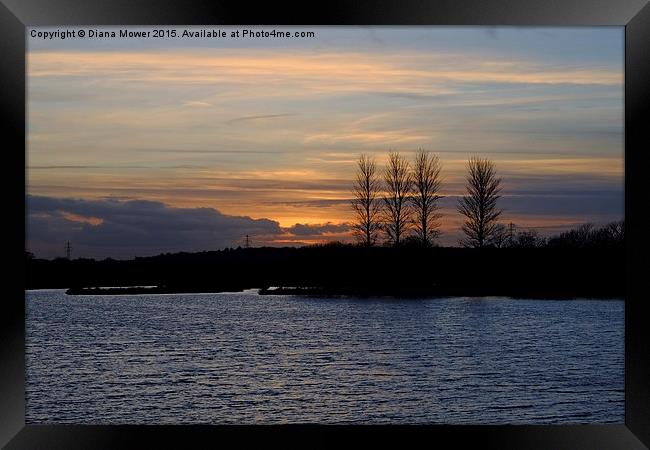  Abberton Reservoir Sunset Framed Print by Diana Mower