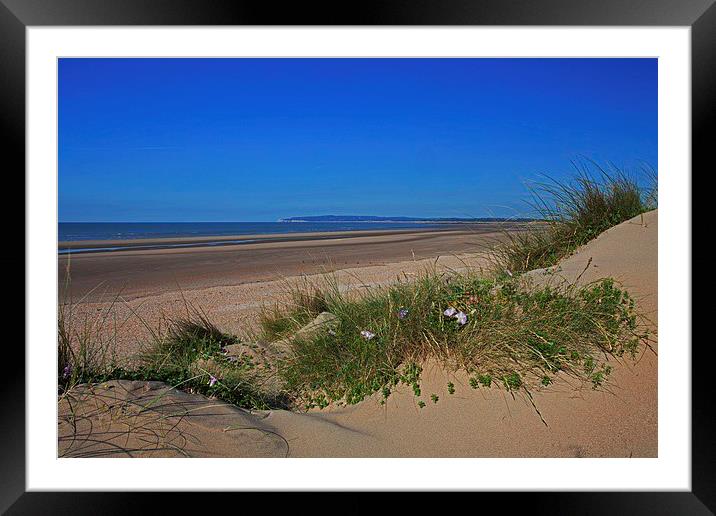  LIfe's a beach! Framed Mounted Print by Stephen Prosser
