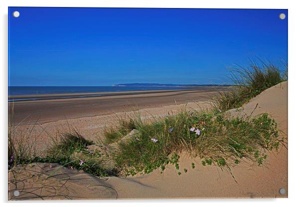  LIfe's a beach! Acrylic by Stephen Prosser