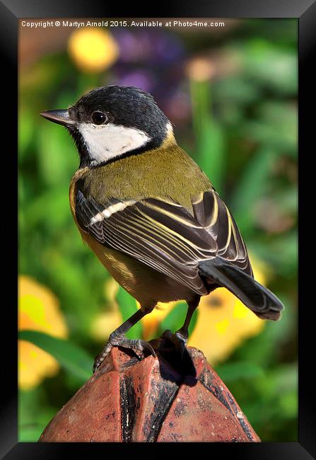  Great Tit ( Parus Major ) Framed Print by Martyn Arnold