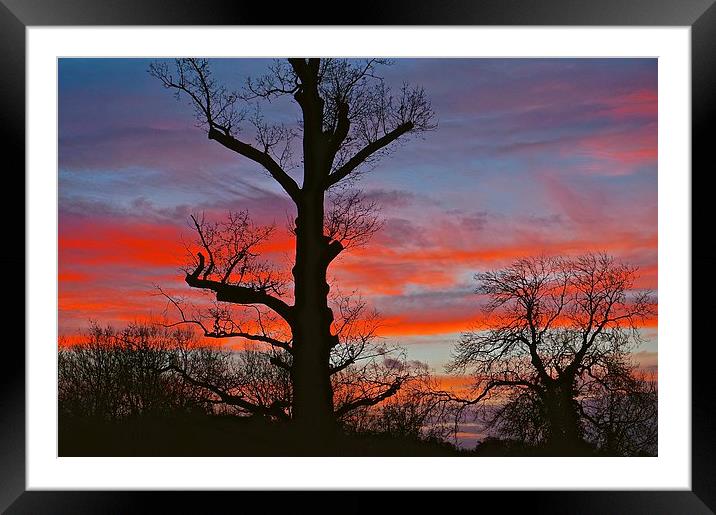  SUNSET or SUNRISE Framed Mounted Print by Sue Bottomley