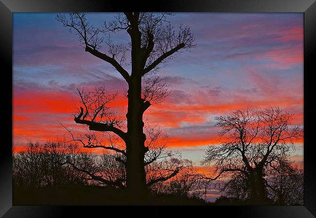  SUNSET or SUNRISE Framed Print by Sue Bottomley
