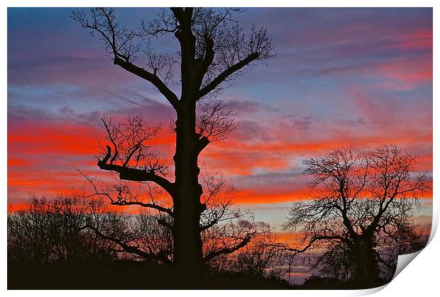  SUNSET or SUNRISE Print by Sue Bottomley