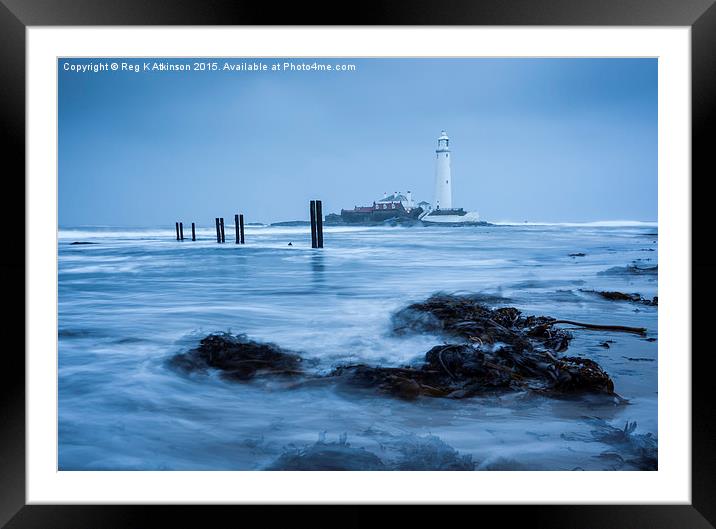 St Mary's Lighthouse  Framed Mounted Print by Reg K Atkinson