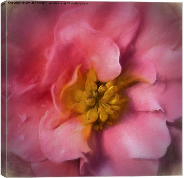 Delicate Bloom A Macro Artistic Begonia Canvas Print by Jim Jones