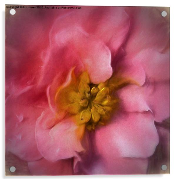 Delicate Bloom A Macro Artistic Begonia Acrylic by Jim Jones