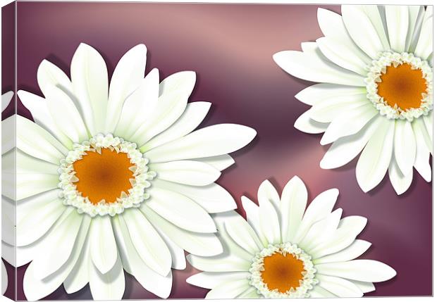 White Gerbera / Herbera Flower Close-up Canvas Print by Lidiya Drabchuk