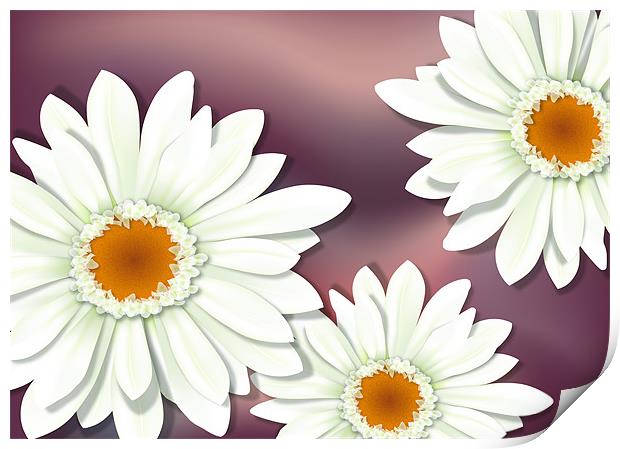 White Gerbera / Herbera Flower Close-up Print by Lidiya Drabchuk