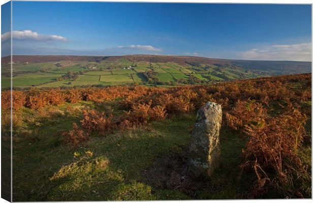  Standing stone. Canvas Print by Stephen Prosser