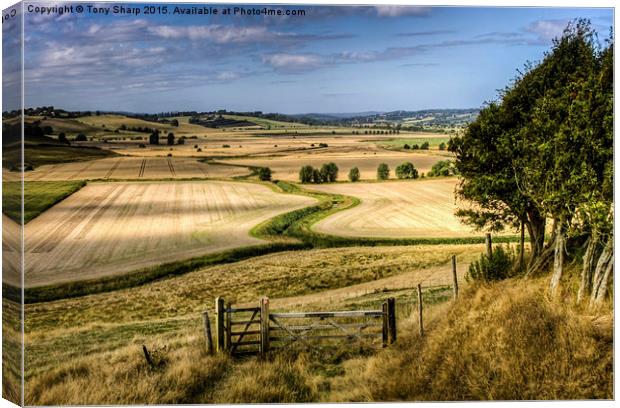  The Hanging Field Canvas Print by Tony Sharp LRPS CPAGB