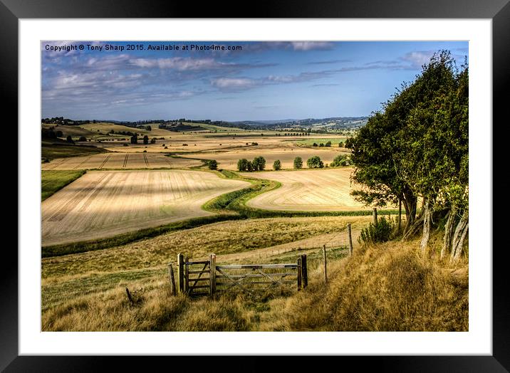  The Hanging Field Framed Mounted Print by Tony Sharp LRPS CPAGB