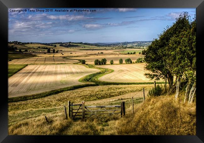  The Hanging Field Framed Print by Tony Sharp LRPS CPAGB