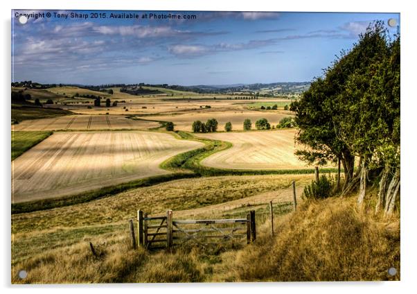  The Hanging Field Acrylic by Tony Sharp LRPS CPAGB