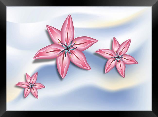 Pink Lilies Framed Print by Lidiya Drabchuk