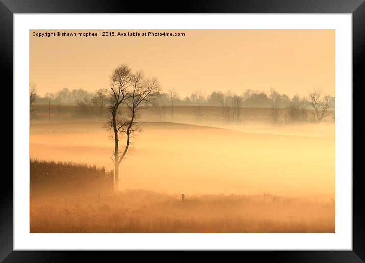  Morning on the Farm Framed Mounted Print by shawn mcphee I