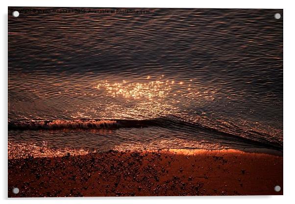  Sunrise At The Beach Acrylic by shawn mcphee I