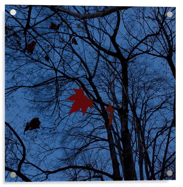  leaves in moonlight Acrylic by Marinela Feier