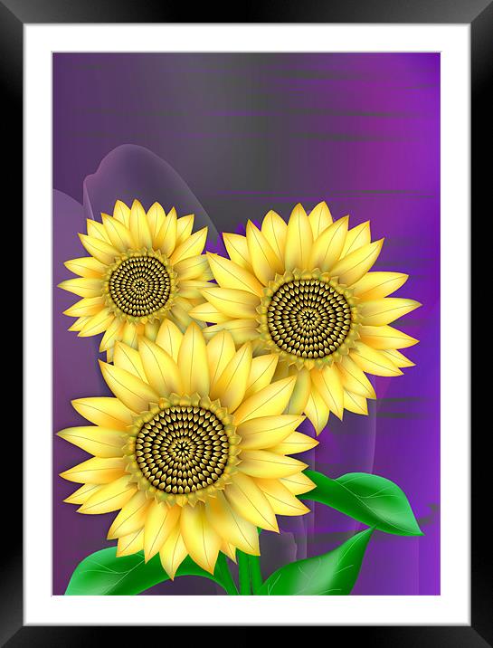 Sunflowers Bright Framed Mounted Print by Lidiya Drabchuk