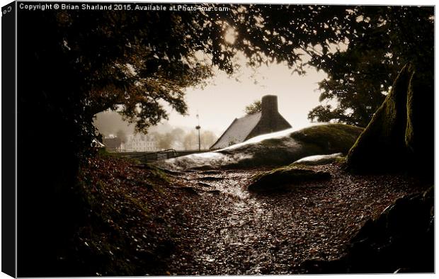  Rainfall At Huelgoat, Finistère, Bretagne, France Canvas Print by Brian Sharland
