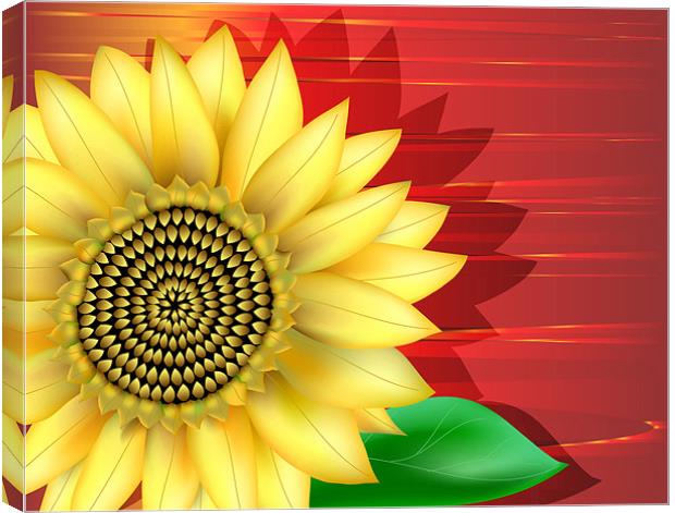 Sunflower Close-up Canvas Print by Lidiya Drabchuk