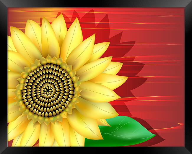 Sunflower Close-up Framed Print by Lidiya Drabchuk