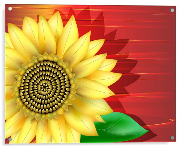 Sunflower Close-up Acrylic by Lidiya Drabchuk