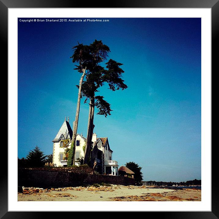  Pines At Loctudy, Finistère, Bretagne, France Framed Mounted Print by Brian Sharland