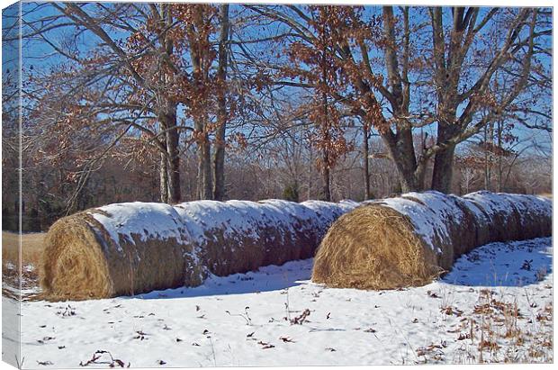 Snowy Haybales Canvas Print by Susan Blevins