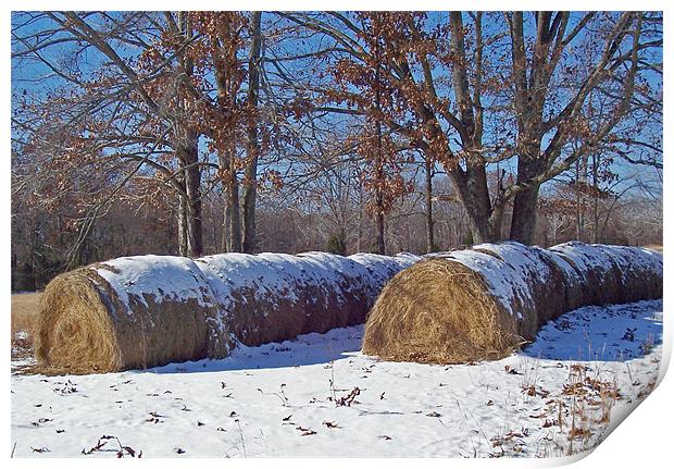 Snowy Haybales Print by Susan Blevins