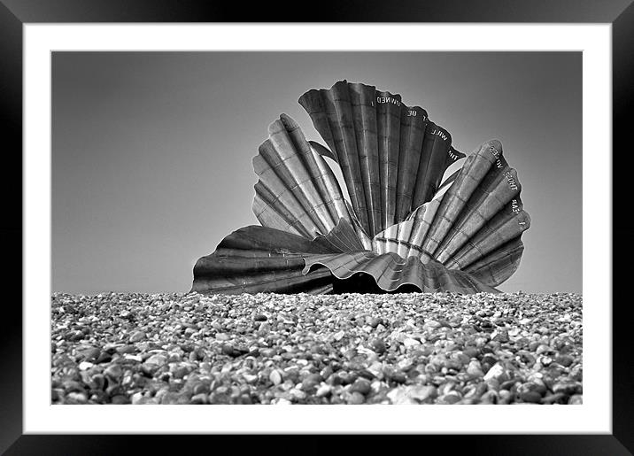 Aldeburgh Clam Framed Mounted Print by Stephen Mole