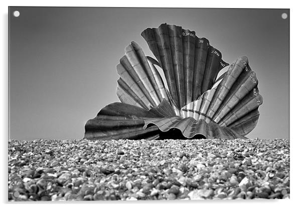 Aldeburgh Clam Acrylic by Stephen Mole
