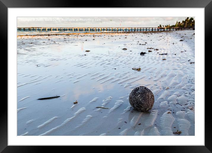Coconut washed up on the beach Framed Mounted Print by Jason Wells