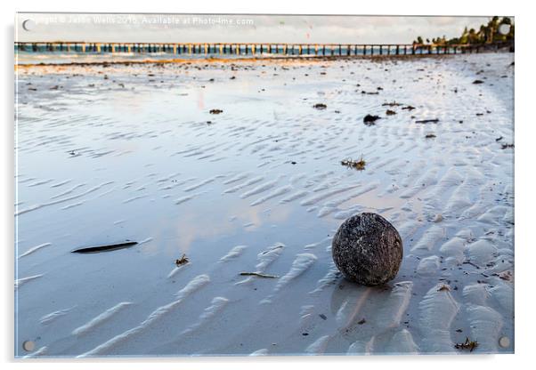 Coconut washed up on the beach Acrylic by Jason Wells