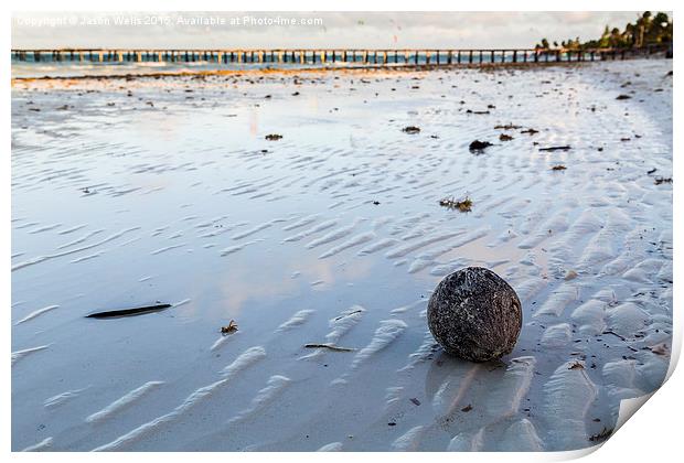 Coconut washed up on the beach Print by Jason Wells
