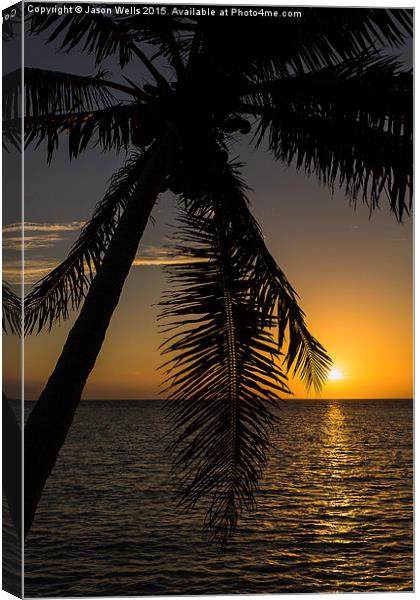 A lone palm tree at sunrise Canvas Print by Jason Wells