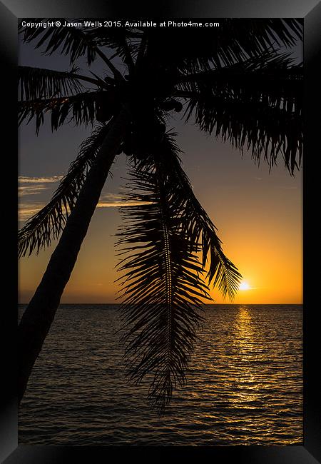 A lone palm tree at sunrise Framed Print by Jason Wells