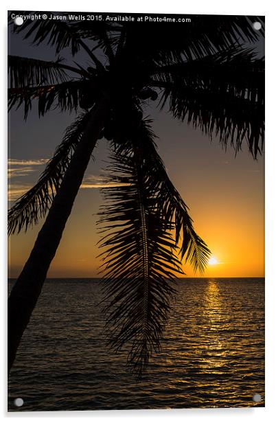 A lone palm tree at sunrise Acrylic by Jason Wells