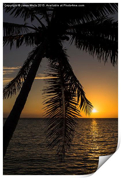 A lone palm tree at sunrise Print by Jason Wells