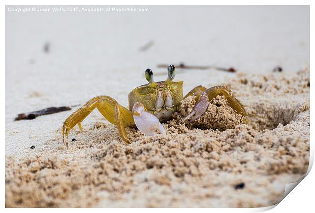 Sand crab showing it's claws Print by Jason Wells