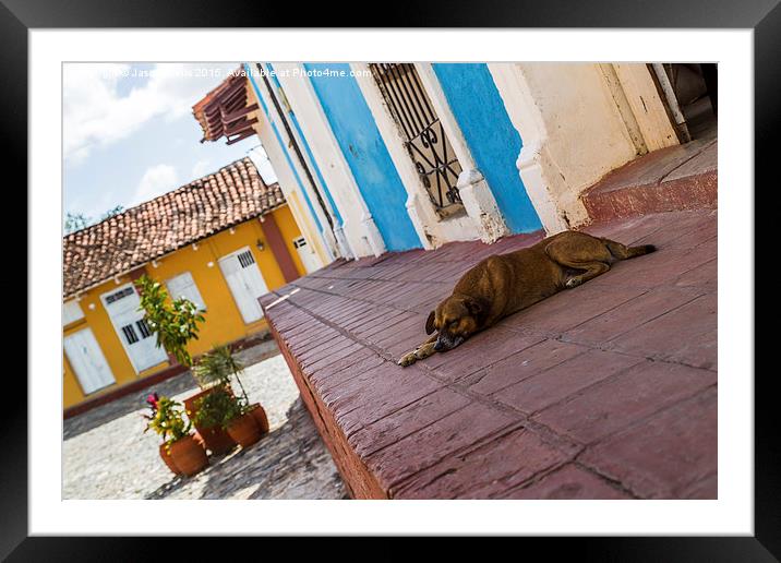 Dog asleep in Sancti Spíritus Framed Mounted Print by Jason Wells