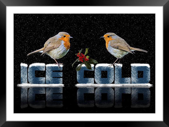  ice cold Framed Mounted Print by Kelvin Rumsby
