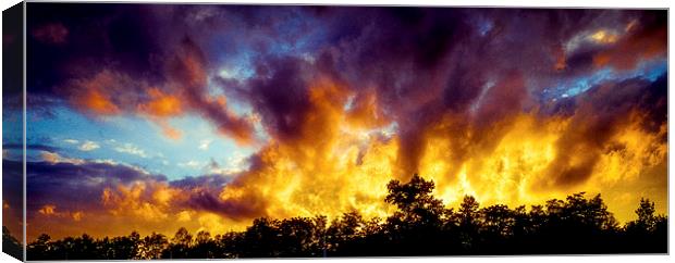  A Sky on Fire Canvas Print by peter tachauer
