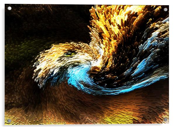 Eagle Wave Acrylic by Swapan Banik