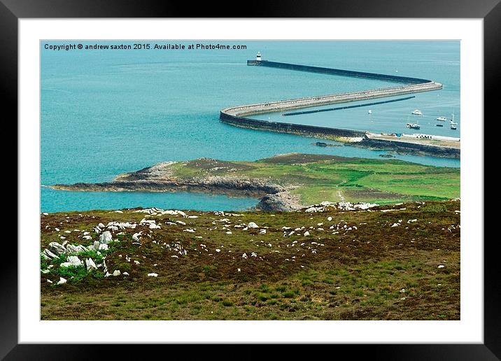  HOLYHEAD GOT Z'S Framed Mounted Print by andrew saxton
