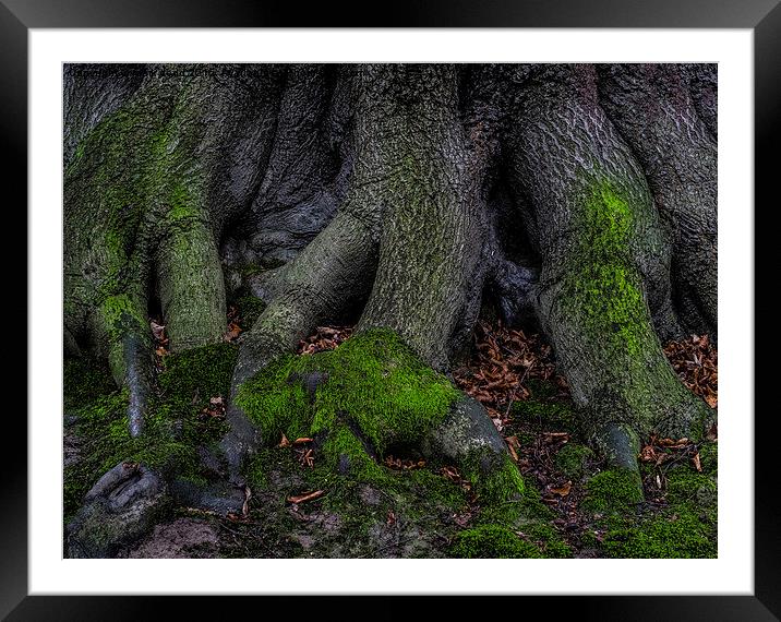 Green Claws Framed Mounted Print by mark dodd