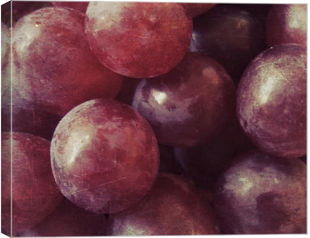  red grapes still life Canvas Print by Heather Newton